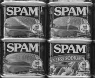 Hormel Introduces Spam